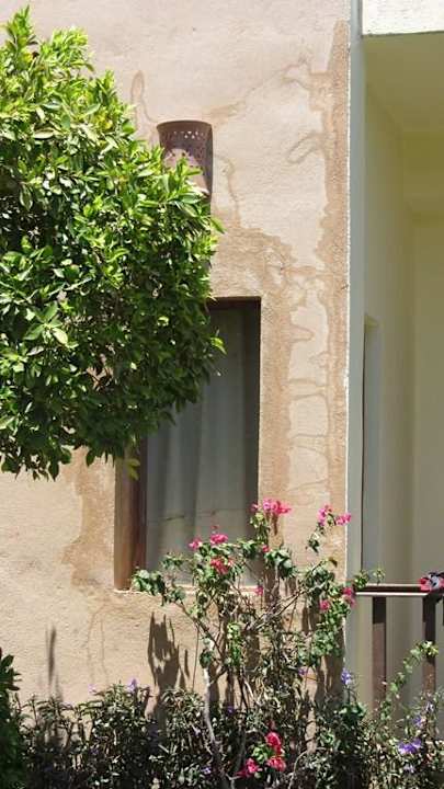 Hotel Palmyra Resort