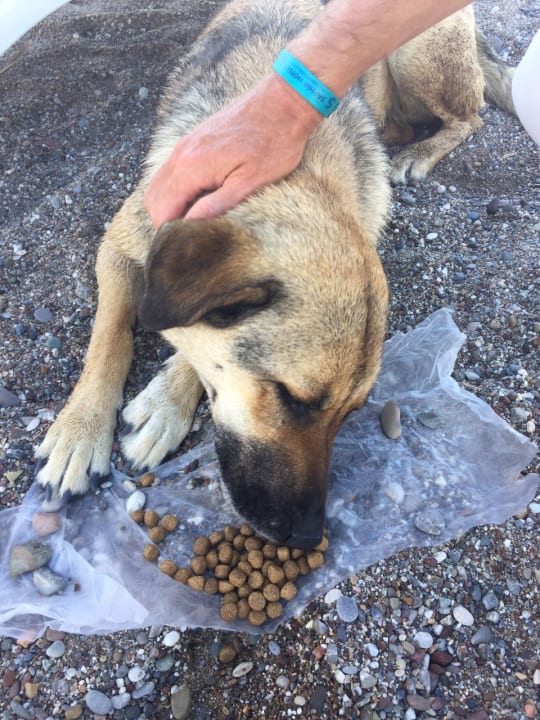 Strand Saphir Resort & Spa