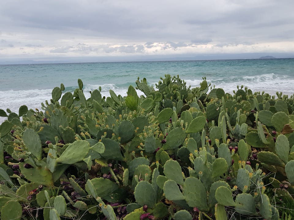 Strand Domes Noruz Kassandra | Adults-Only