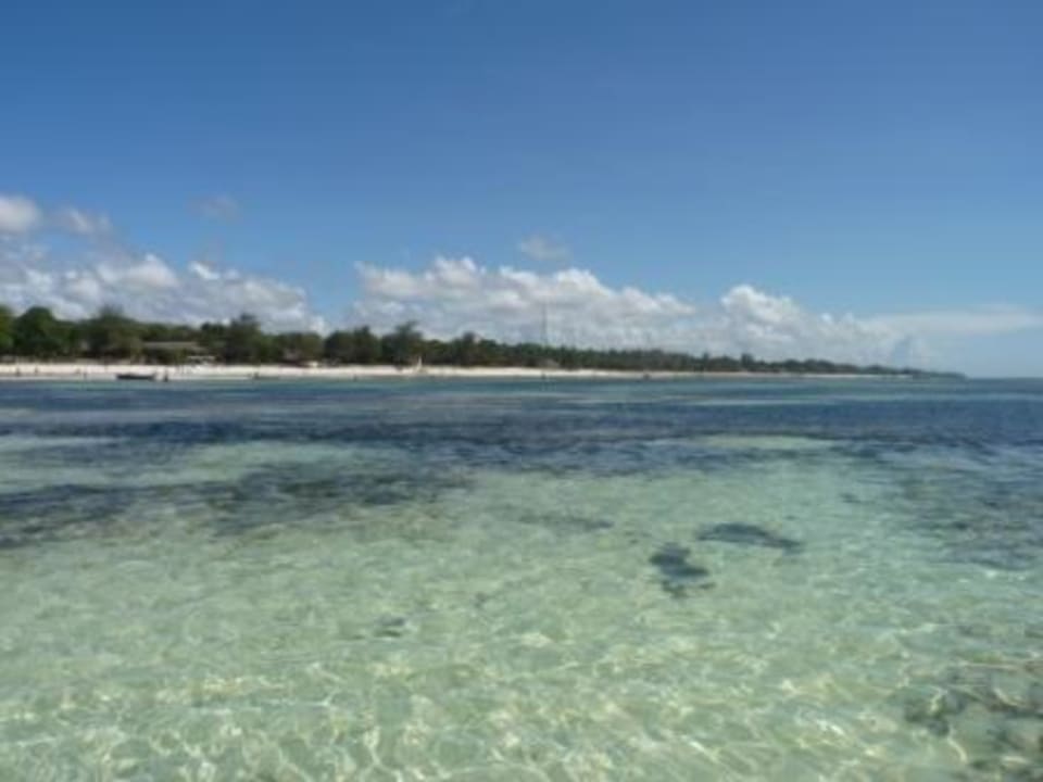 Ausblick vom Meer zum Hotel-Strand Hotel Papillon Lagoon Reef