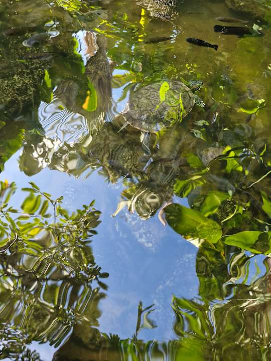 Gartenanlage Puri Santrian