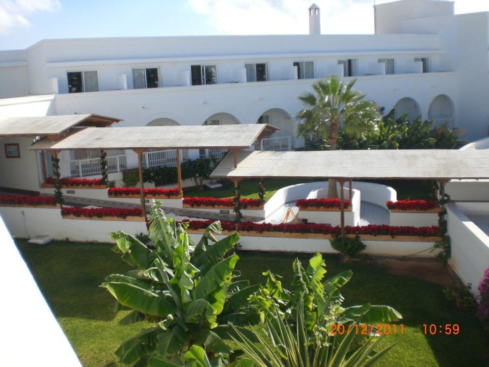 Ausblick von Zimmer 1239 Relaxia Olivina