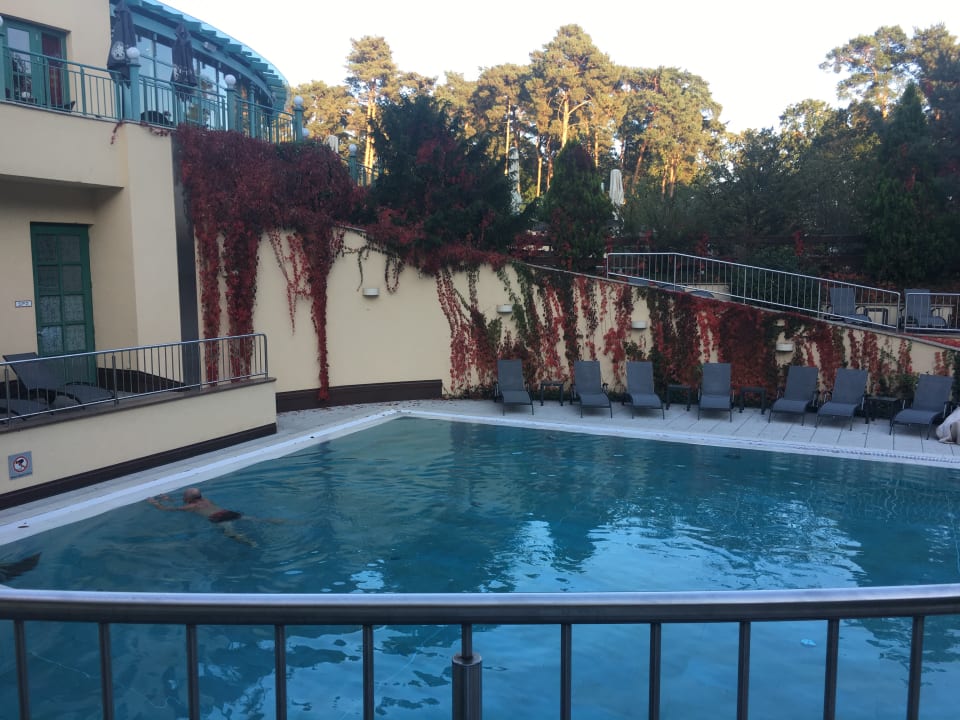 Pool Precise Resort Bad Saarow am Scharmützelsee