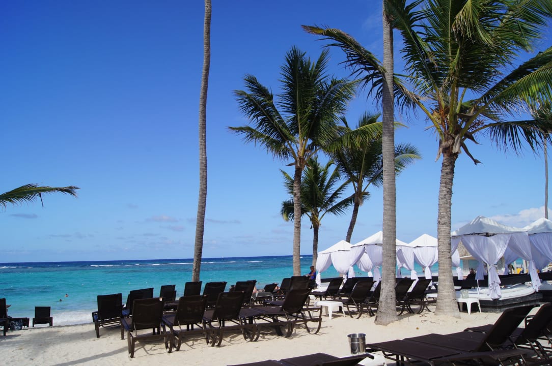 Strand nur für Privileg Kunden Ocean Blue & Sand