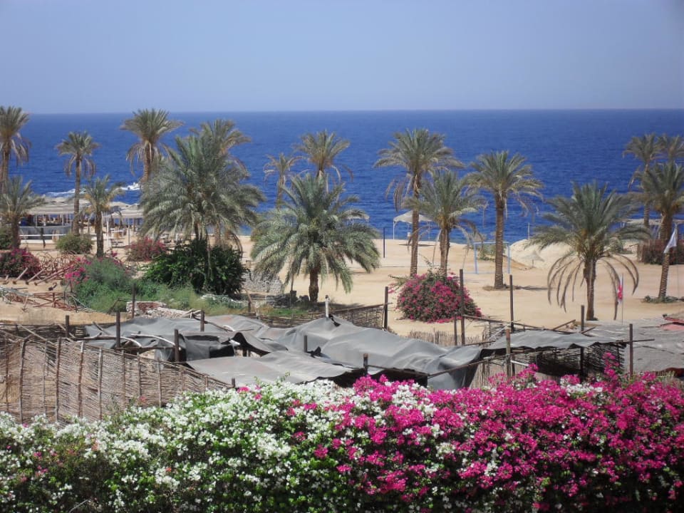 Najbliższa okolica hotelu Safir Sharm Waterfalls Resort