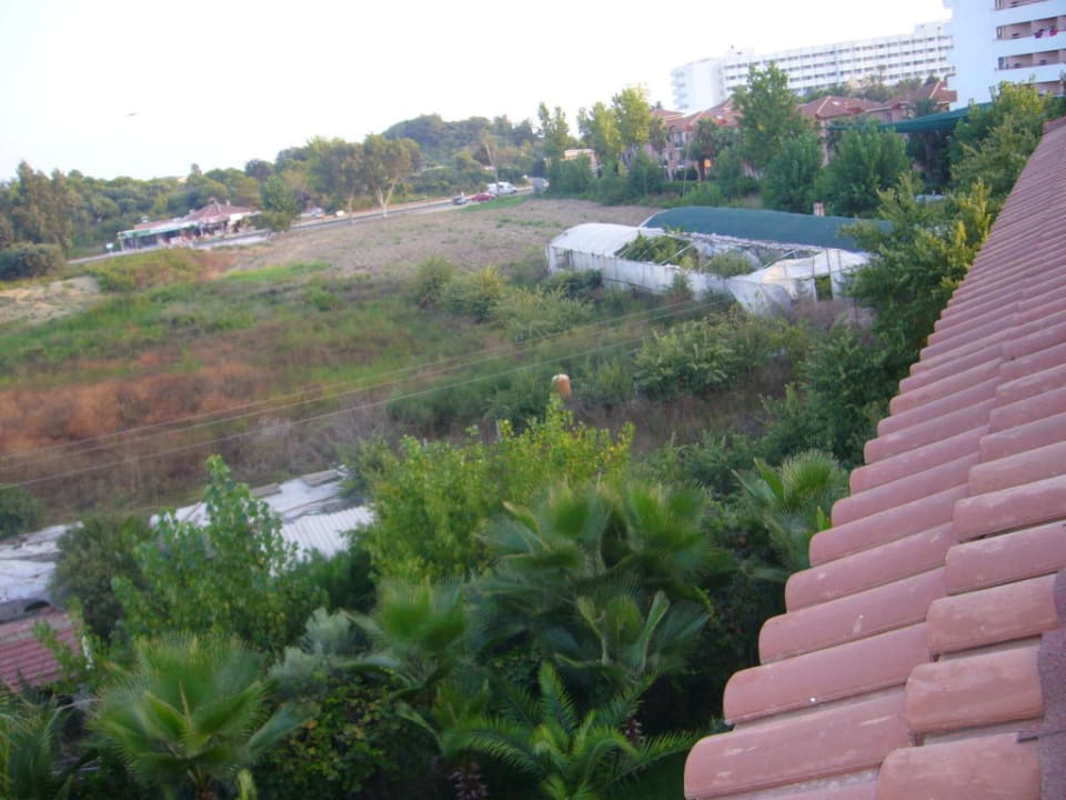 Gartenblick! Hotel Orfeus Park