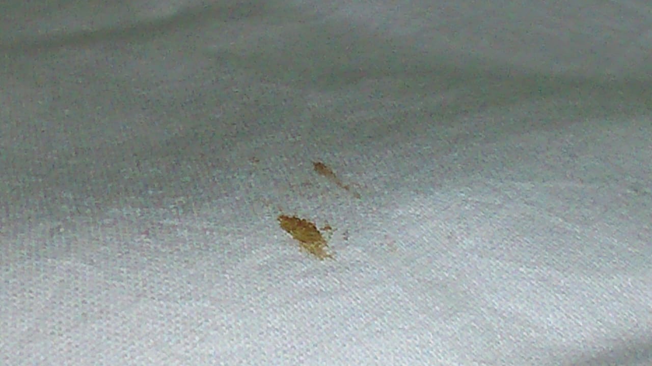 Kaputter Boden Port Nature Luxury Resort & Spa