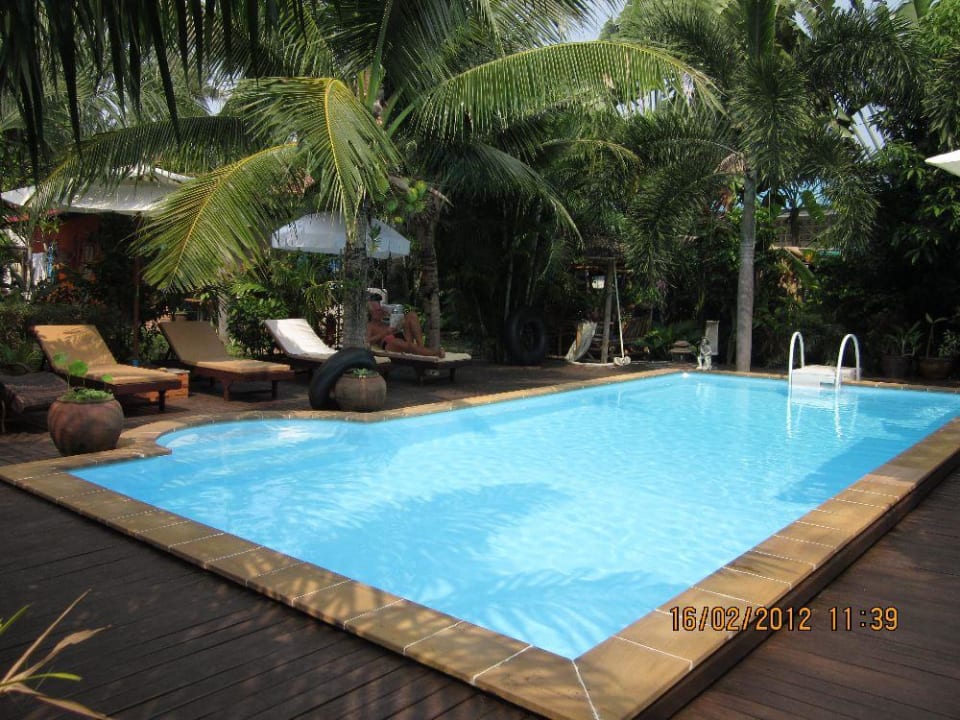 Pool & Liegen Bee Nat Garden Resort