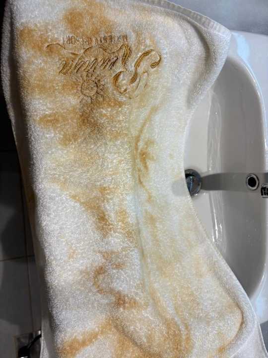 Zimmer Rewaya Majestic Resort