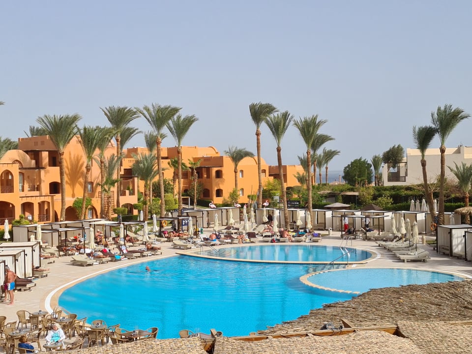 Pool Jaz Makadi Blue - TUI BLUE Makadi - Adults Friendly 16 Years Plus
