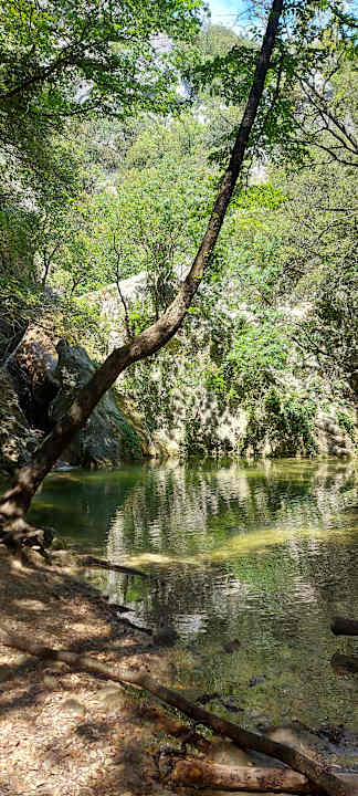 Sonstiges Oliva Camping - Maslinica Resort