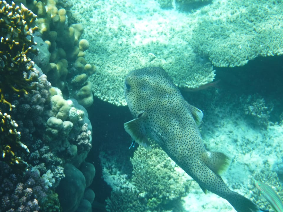 Strand Casa Mare Resort