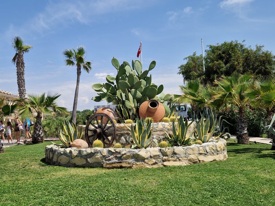 Gartenanlage Dream World Palace Hotel