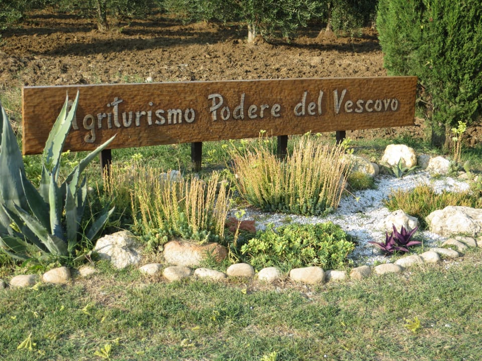 Anfang der Allee Agriturismo Podere del Vescovo