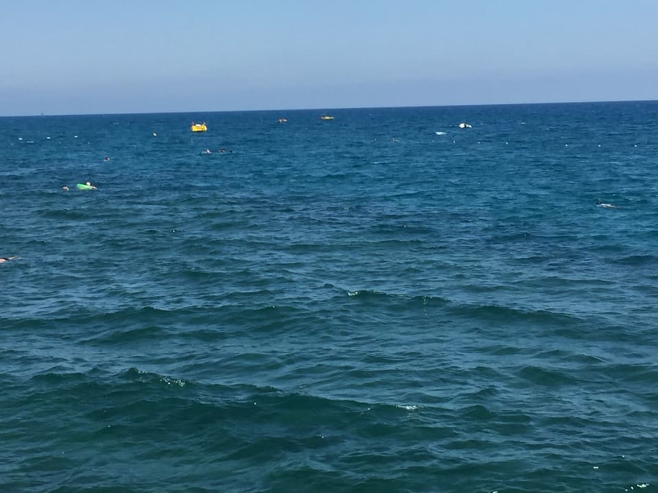 Strand Dizalya Palm Garden