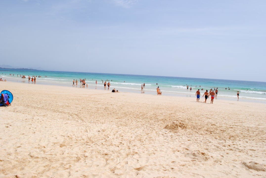 Ein Strandabschnitt Hotel Riu Oliva Beach Resort