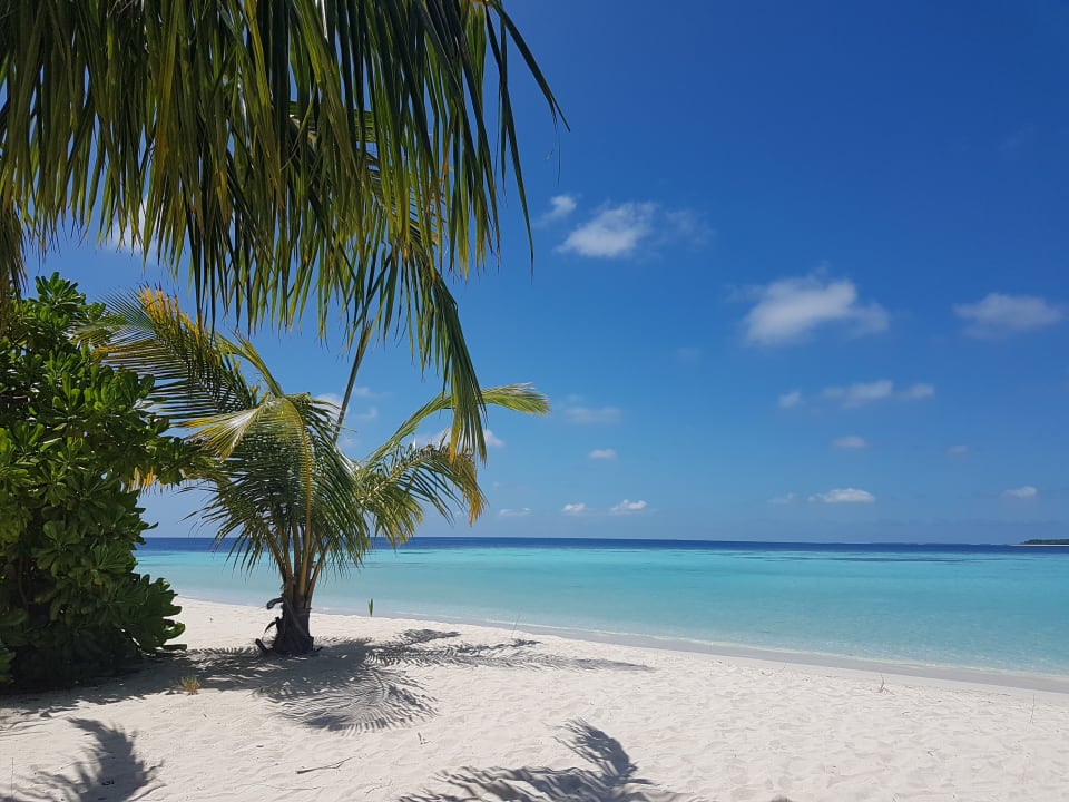 Strand NH Collection Maldives Havodda Resort