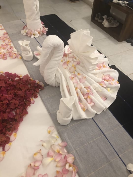 Zimmer Roman Life Ayurveda Beach Resort