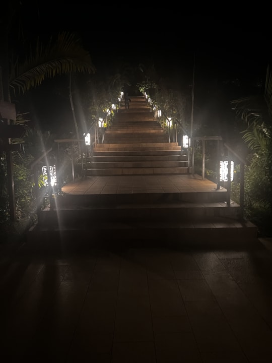 Gartenanlage TUI Blue Bahari Zanzibar