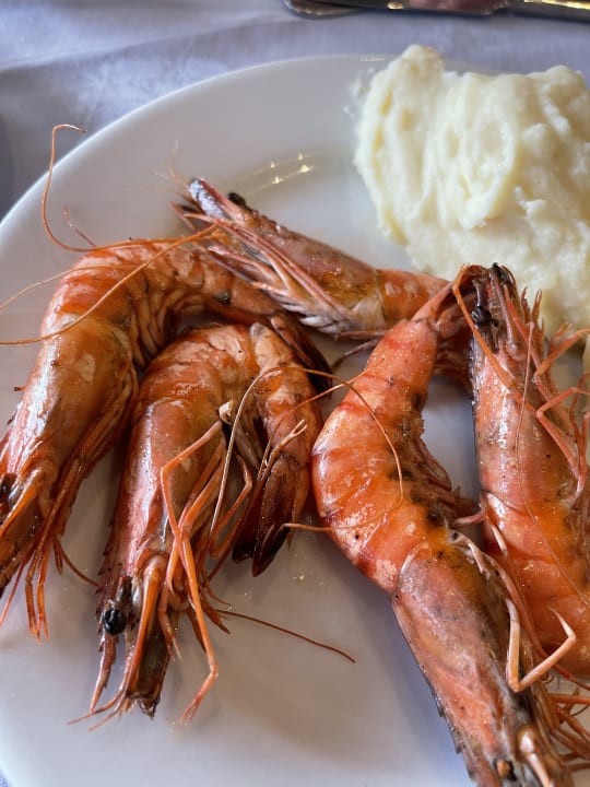 Gastro Hotel Kalithea Horizon Royal