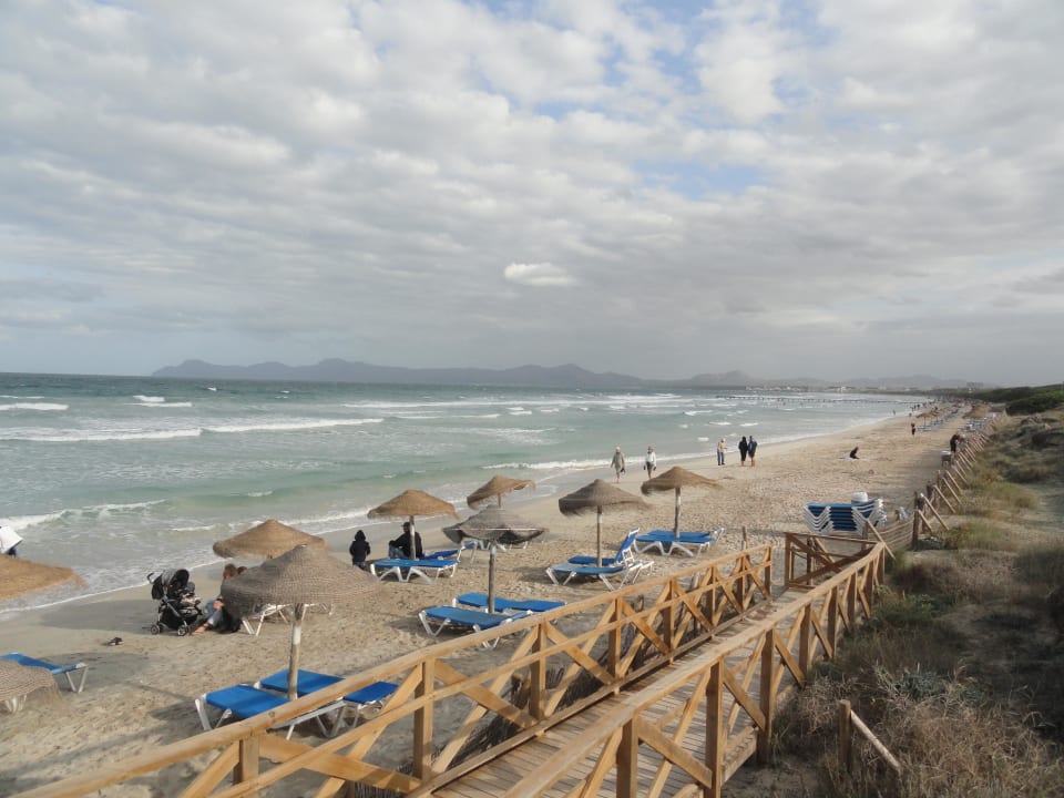 Der Strand von Alcudia Zafiro Bahia