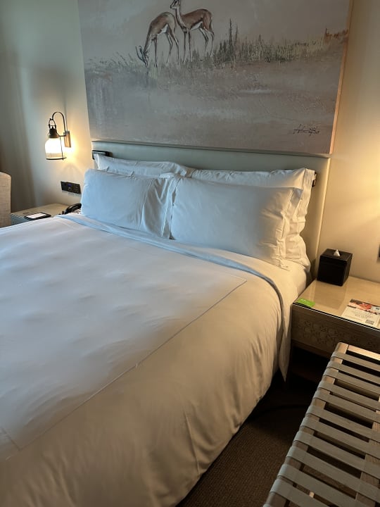 Zimmer Saadiyat Rotana Resort &  Villas