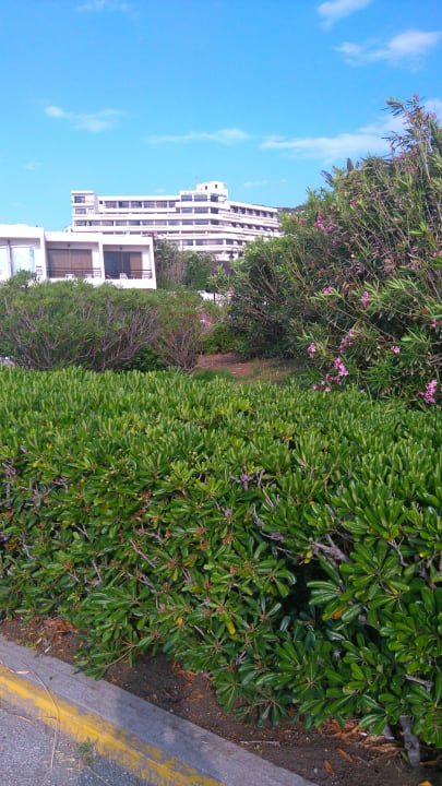 Gartenanlage Sol Cosmopolitan Rhodes