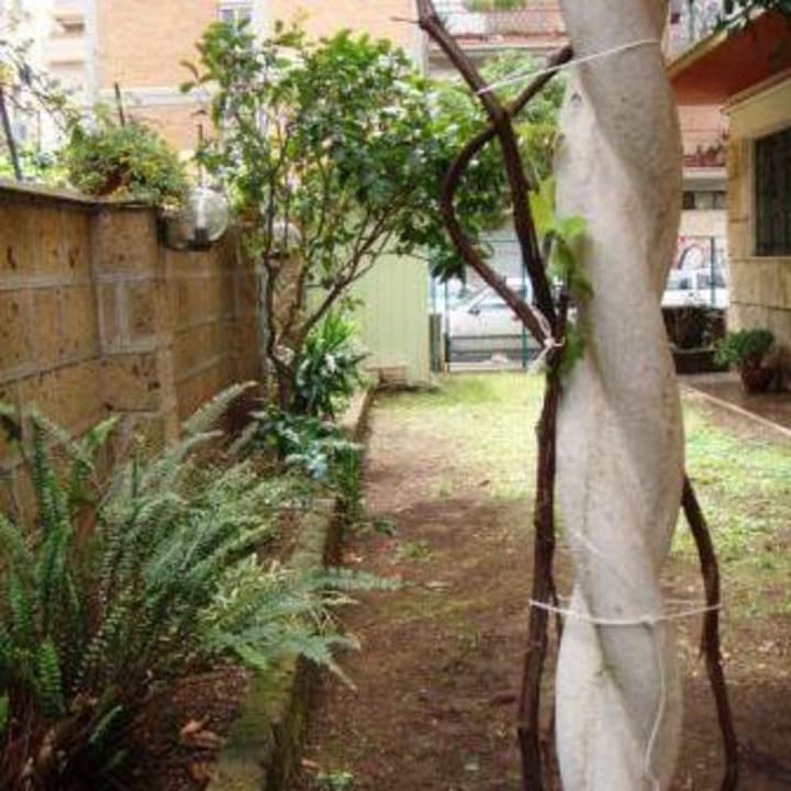 Vista del giardino Casa Vacanze Roma dal Mare