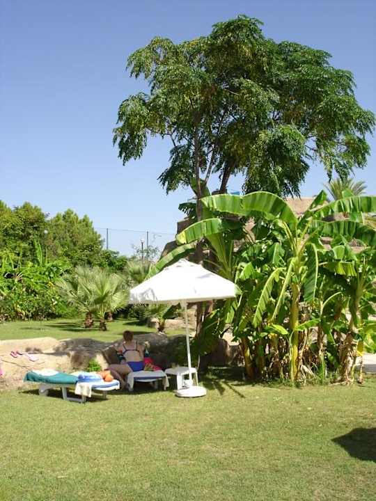 Große Bananenstauden (Liegewiese am Aquapark) Melas Holiday Village