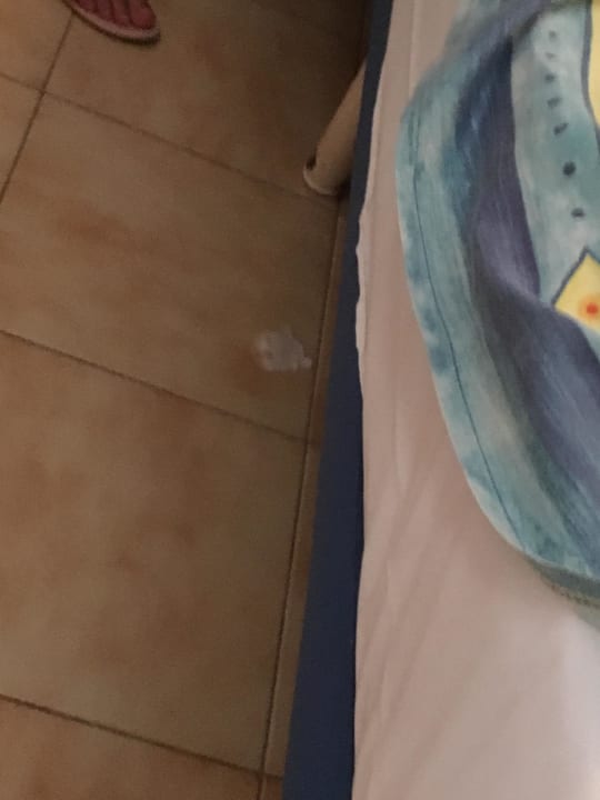 Benutztes Toilettenpapier beim Betreten! Servatur Alameda de Jandía