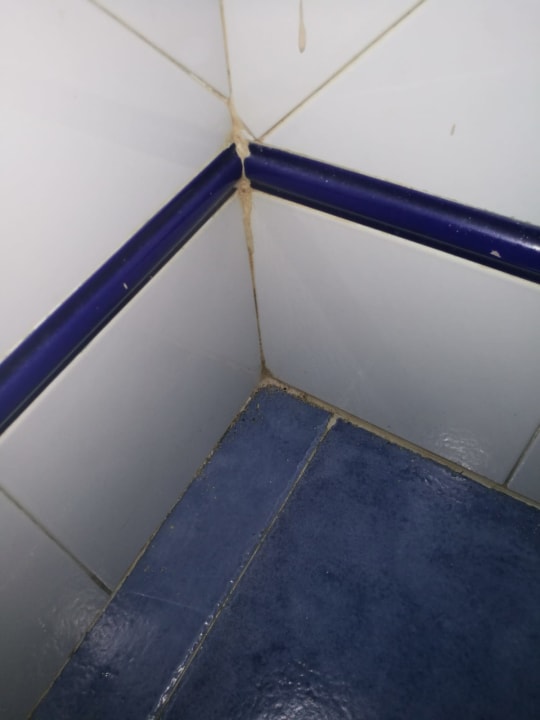 Zimmer Hotel Oasis Dunas