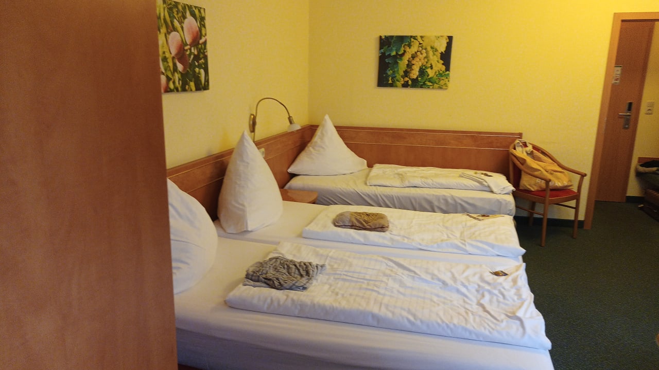 Zimmer Moselstern Hotel Brixiade & Triton