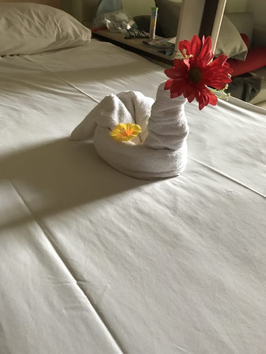 Zimmer PALOMA Perissia