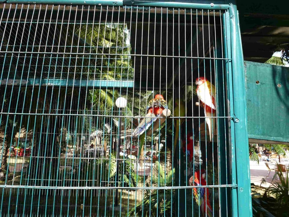 Santa Clara Hotel Los Caneyes