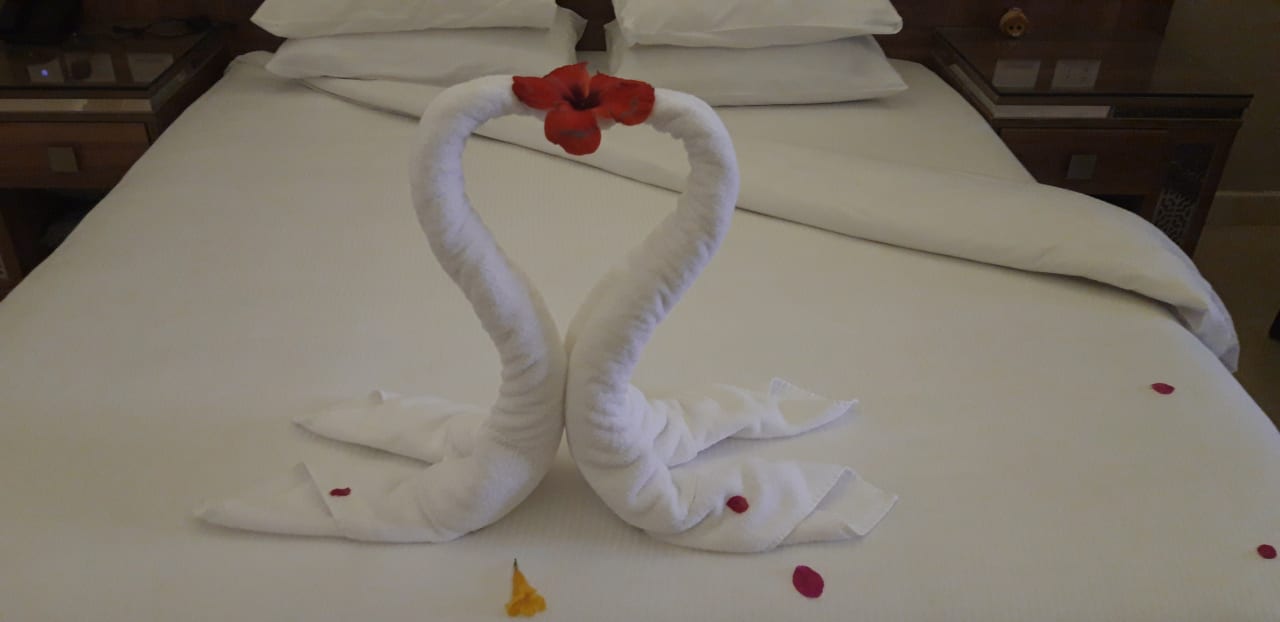 Zimmer Pickalbatros Sea World Resort - Marsa Alam