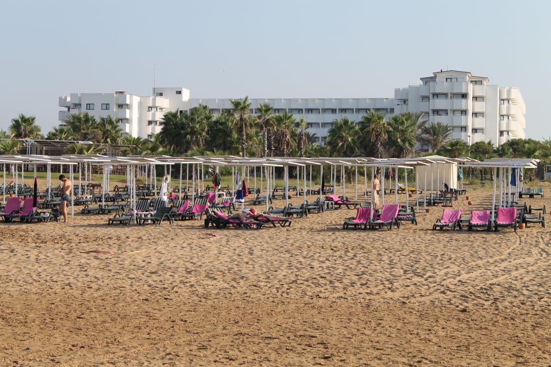 Hotel im Hintergrund und Strandliegen Süral Saray Hotel