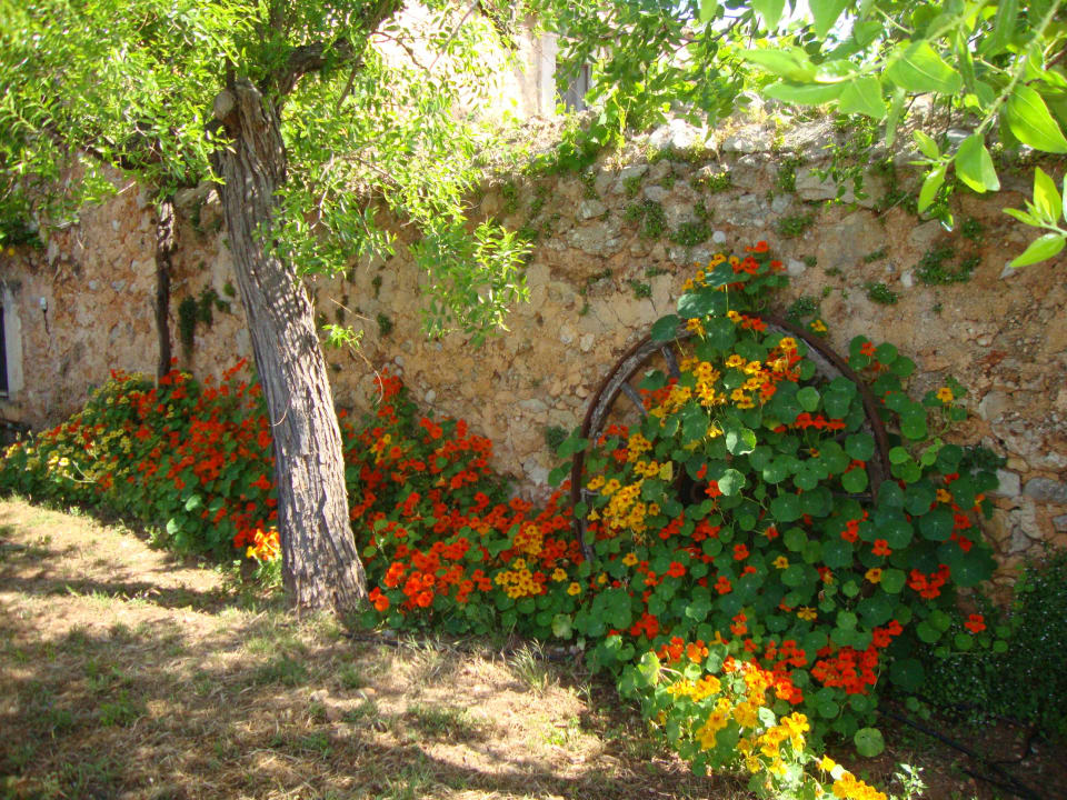 Spring impressiones Agroturismo Son Pons
