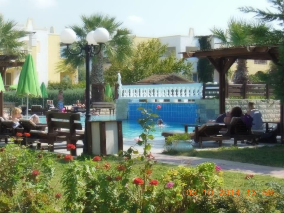Pool Nr. 4 Hotel Gaia Palace