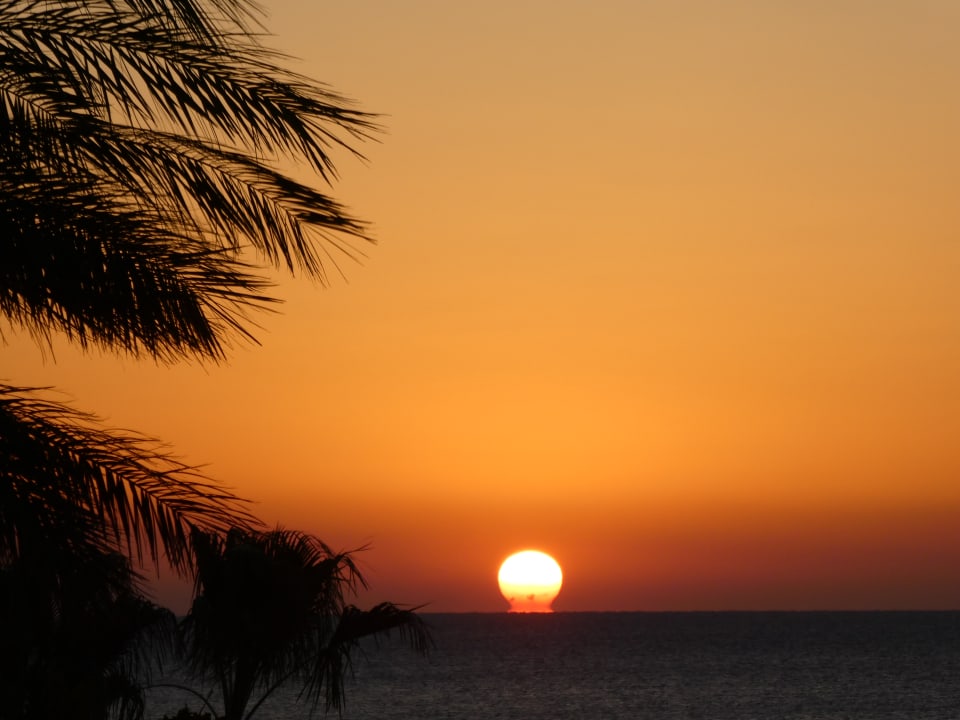 Ausblick Shams Prestige Abu Soma-Adults Only