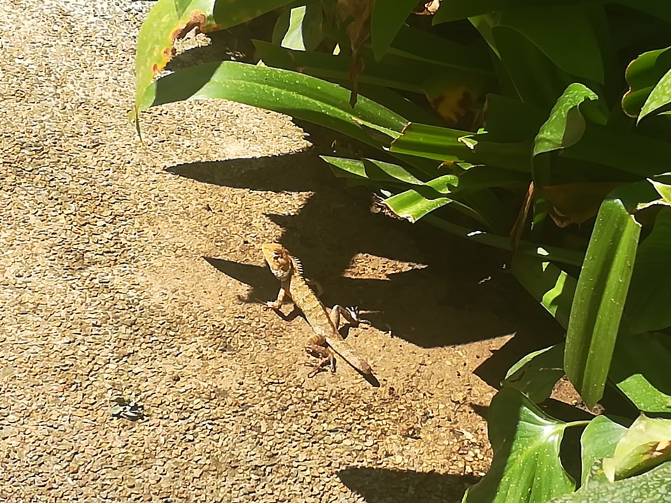 Sonstiges The Briza Beach Resort Khaolak