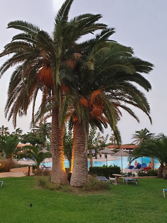 Gartenanlage Anissa Beach & Village