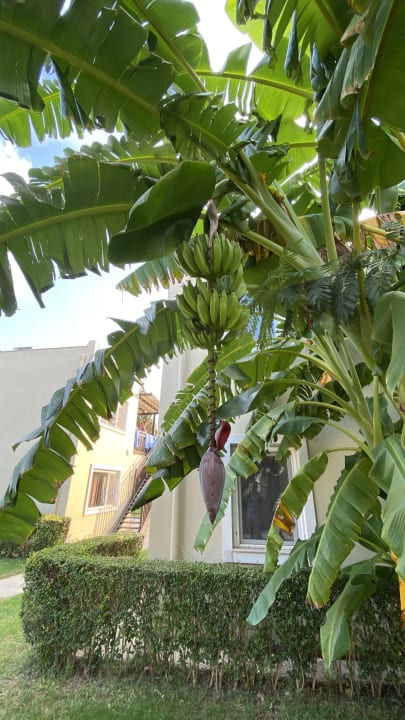 Sonstiges Marvida Family Eco