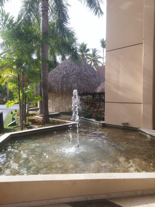 Sonstiges Hotel Grand Palladium Palace Resort, Spa & Casino