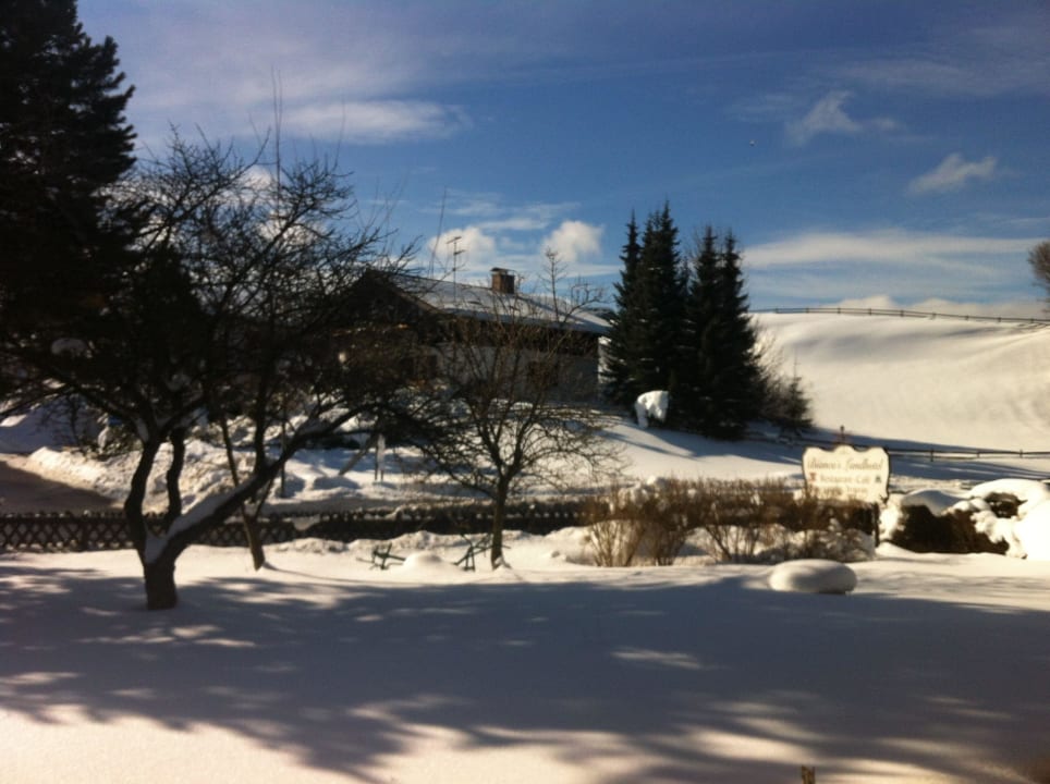 Zimmeraussicht Biancas Landhotel