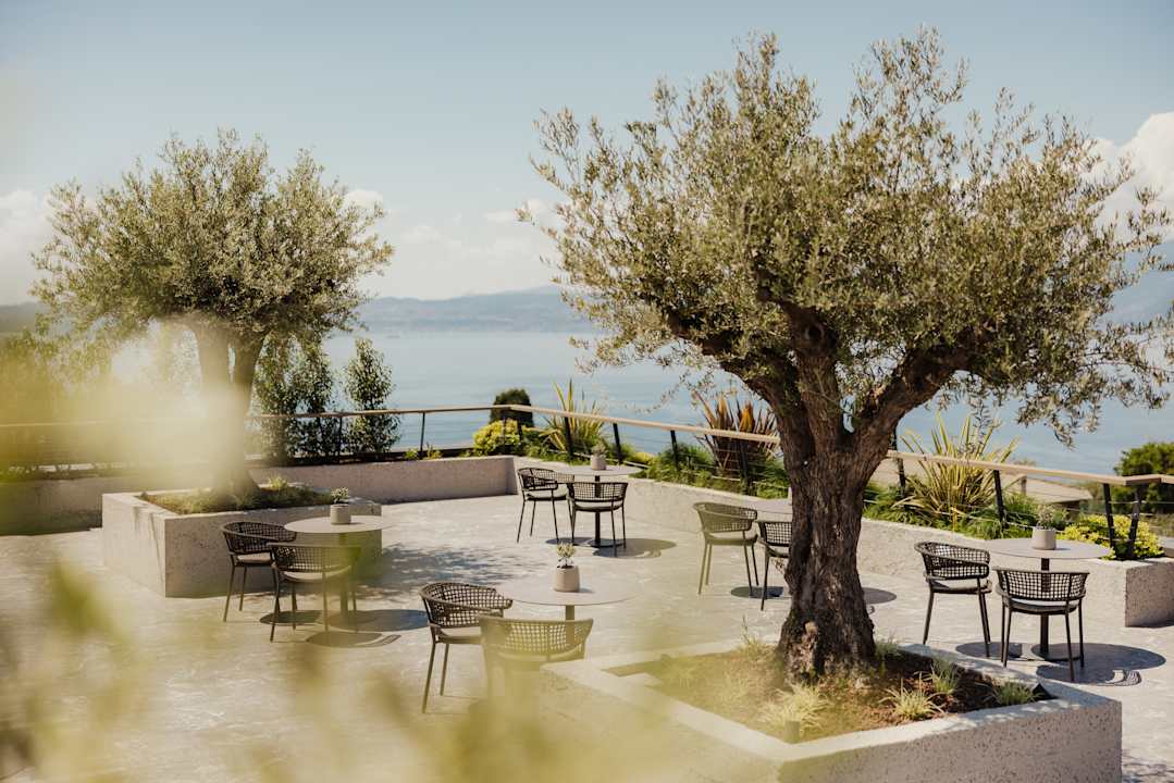 Gastro Cape of Senses