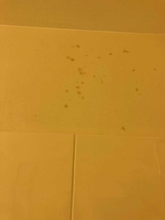 Zimmer Best Western Hotel Lippstadt