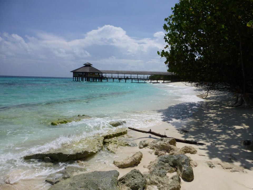 Rund um die Insel NH Collection Maldives Reethi Resort
