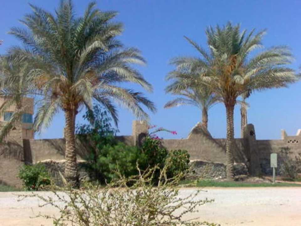 Вид из номера Hotel Hauza Beach Resort