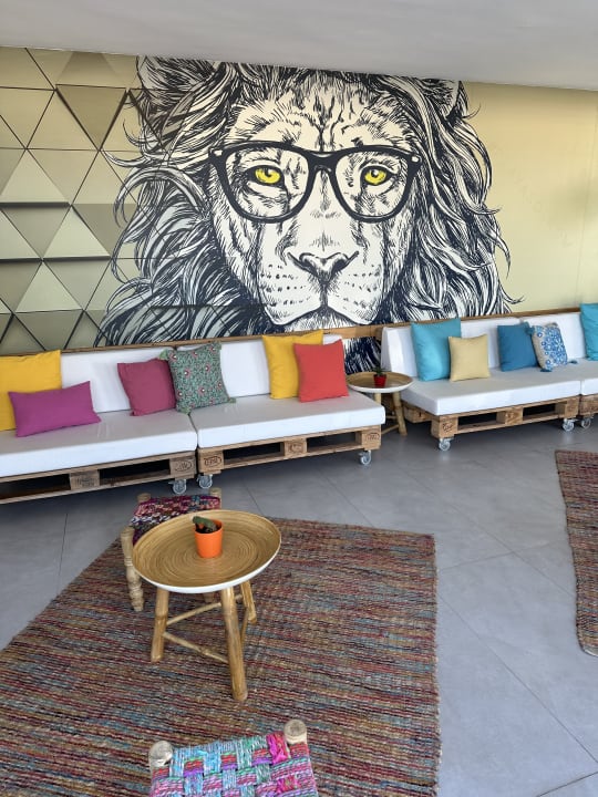 Gastro Hotel Vibra Bossa Flow