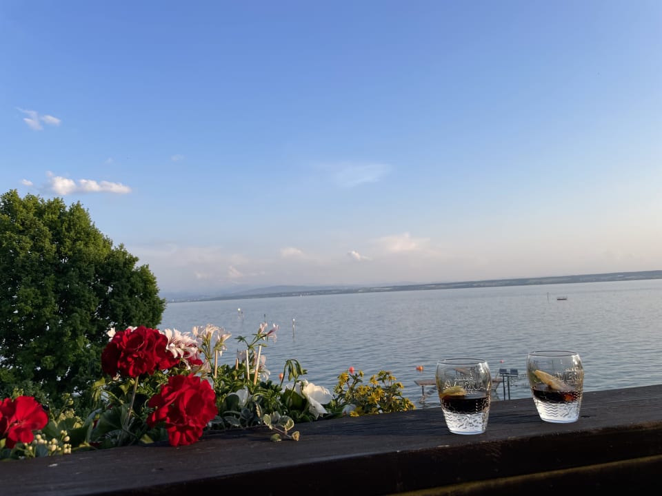 Ausblick Hotel Heinzler am See